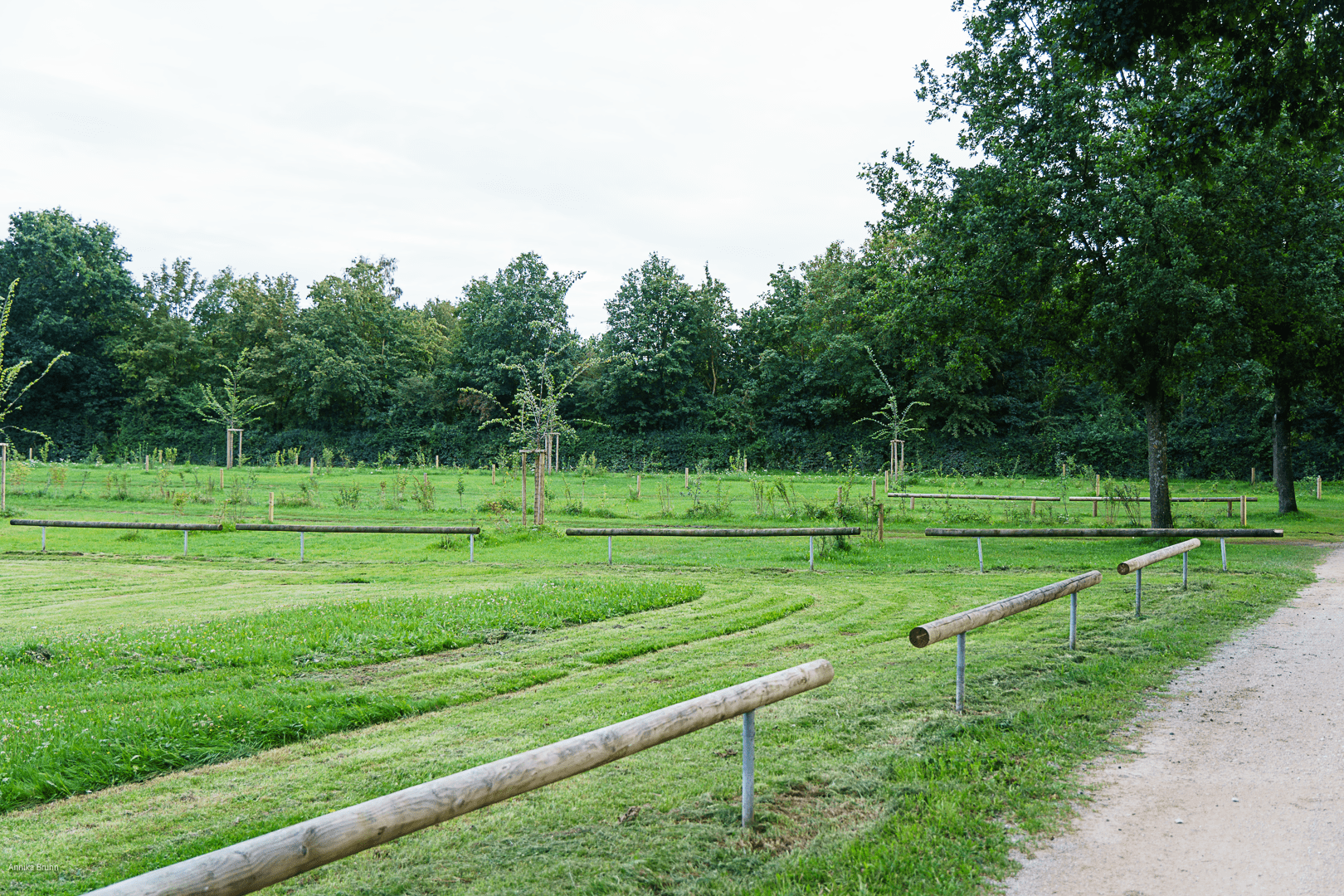 Der Stellplatz meiner Jungs